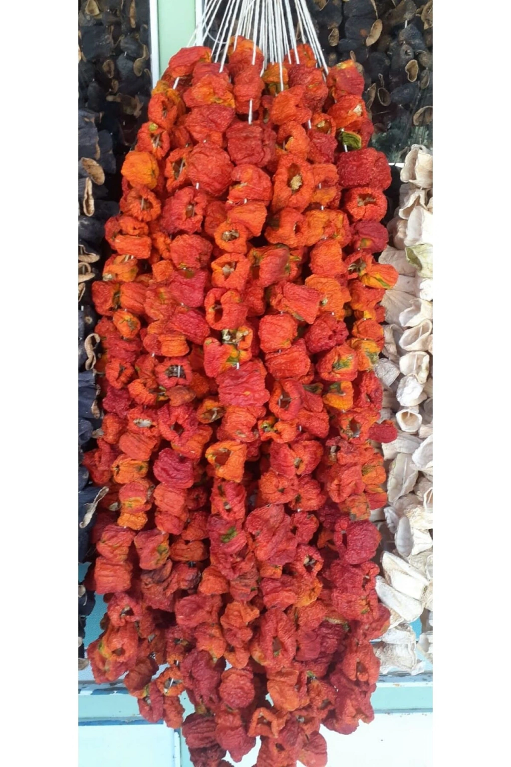Dolmalık biber Acı 1 ip